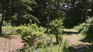 長野県菅平高原 ゆたか山荘 坂上 2026/07/15 11:30