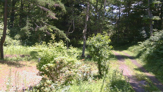 長野県菅平高原 ゆたか山荘 坂上 2026/07/15 11:45