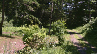 長野県菅平高原 ゆたか山荘 坂上 2026/07/15 12:00