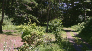 長野県菅平高原 ゆたか山荘 坂上 2026/07/15 12:15