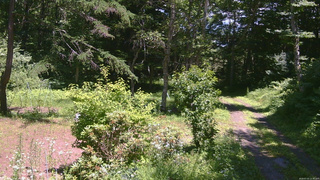 長野県菅平高原 ゆたか山荘 坂上 2026/07/15 12:30