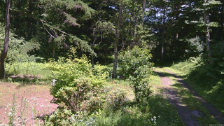 長野県菅平高原 ゆたか山荘 坂上 2026/07/15 12:45