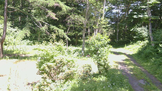 長野県菅平高原 ゆたか山荘 坂上 2026/07/15 13:00