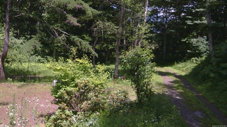 長野県菅平高原 ゆたか山荘 坂上 2026/07/15 13:15