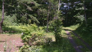 長野県菅平高原 ゆたか山荘 坂上 2026/07/15 13:30