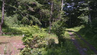 長野県菅平高原 ゆたか山荘 坂上 2026/07/15 13:45
