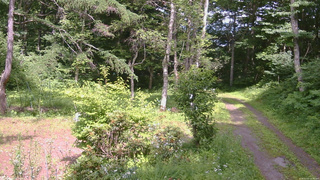 長野県菅平高原 ゆたか山荘 坂上 2026/07/15 14:00