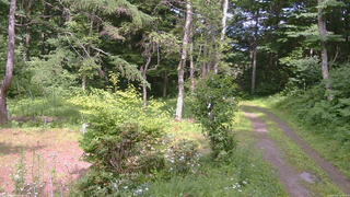 長野県菅平高原 ゆたか山荘 坂上 2026/07/15 14:15