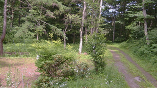長野県菅平高原 ゆたか山荘 坂上 2026/07/15 14:30