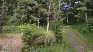 長野県菅平高原 ゆたか山荘 坂上 2026/07/15 14:45