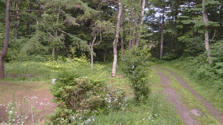 長野県菅平高原 ゆたか山荘 坂上 2026/07/15 15:00