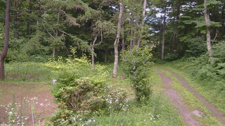 長野県菅平高原 ゆたか山荘 坂上 2026/07/15 15:15