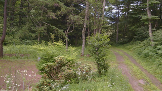 長野県菅平高原 ゆたか山荘 坂上 2026/07/15 15:45
