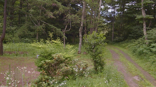 長野県菅平高原 ゆたか山荘 坂上 2026/07/15 16:15