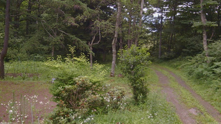 長野県菅平高原 ゆたか山荘 坂上 2026/07/15 16:30