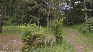 長野県菅平高原 ゆたか山荘 坂上 2026/07/15 16:45