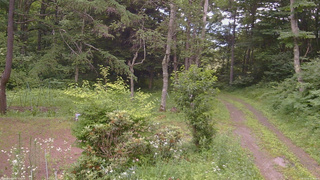 長野県菅平高原 ゆたか山荘 坂上 2026/07/15 17:00