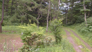 長野県菅平高原 ゆたか山荘 坂上 2026/07/15 17:45