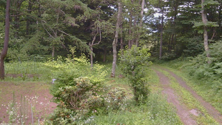 長野県菅平高原 ゆたか山荘 坂上 2026/07/15 18:00