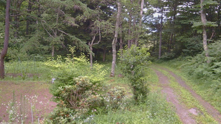 長野県菅平高原 ゆたか山荘 坂上 2026/07/15 18:15