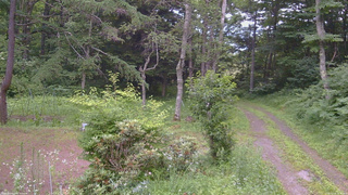 長野県菅平高原 ゆたか山荘 坂上 2026/07/15 18:30