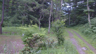 長野県菅平高原 ゆたか山荘 坂上 2026/07/15 18:45