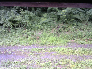 長野県菅平高原 ゆたか山荘 東側(坂下) 2026/07/16 08:45