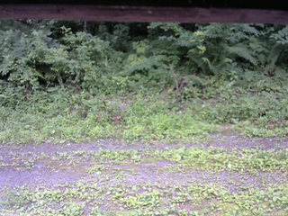 長野県菅平高原 ゆたか山荘 東側(坂下) 2026/07/16 12:15