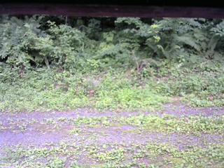 長野県菅平高原 ゆたか山荘 東側(坂下) 2026/07/16 16:15