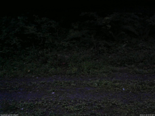 長野県菅平高原 ゆたか山荘 東側(坂下) 2026/07/16 19:15