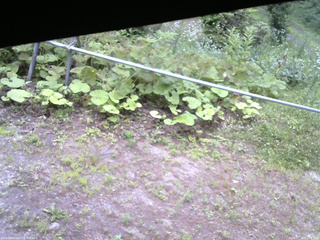 長野県菅平高原 ゆたか山荘 駐車場 2026/07/16 07:15