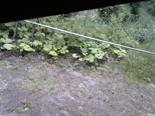 長野県菅平高原 ゆたか山荘 駐車場 2026/07/16 10:30