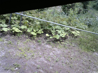 長野県菅平高原 ゆたか山荘 駐車場 2026/07/16 10:45