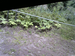 長野県菅平高原 ゆたか山荘 駐車場 2026/07/16 11:30