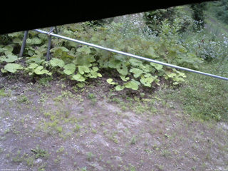 長野県菅平高原 ゆたか山荘 駐車場 2026/07/16 16:45