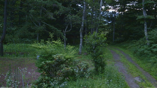 長野県菅平高原 ゆたか山荘 坂上 2026/07/16 05:00