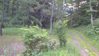 長野県菅平高原 ゆたか山荘 坂上 2026/07/16 05:15
