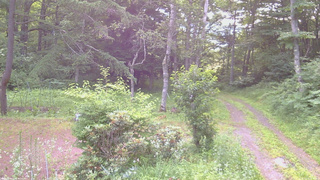 長野県菅平高原 ゆたか山荘 坂上 2026/07/16 05:30