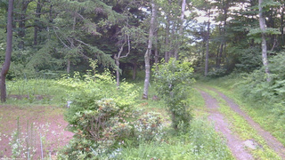 長野県菅平高原 ゆたか山荘 坂上 2026/07/16 05:45