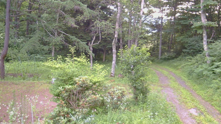 長野県菅平高原 ゆたか山荘 坂上 2026/07/16 06:00