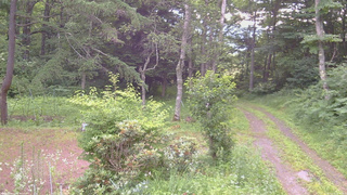 長野県菅平高原 ゆたか山荘 坂上 2026/07/16 06:45