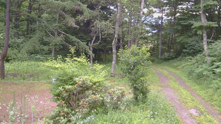 長野県菅平高原 ゆたか山荘 坂上 2026/07/16 07:00