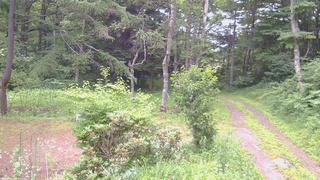 長野県菅平高原 ゆたか山荘 坂上 2026/07/16 07:30