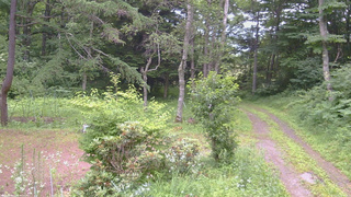 長野県菅平高原 ゆたか山荘 坂上 2026/07/16 08:15