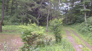 長野県菅平高原 ゆたか山荘 坂上 2026/07/16 08:30