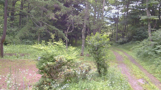 長野県菅平高原 ゆたか山荘 坂上 2026/07/16 08:45
