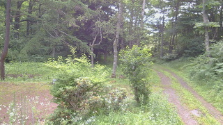 長野県菅平高原 ゆたか山荘 坂上 2026/07/16 09:00