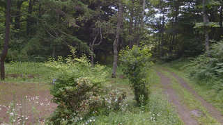長野県菅平高原 ゆたか山荘 坂上 2026/07/16 09:15