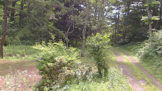 長野県菅平高原 ゆたか山荘 坂上 2026/07/16 09:30