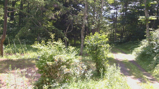 長野県菅平高原 ゆたか山荘 坂上 2026/07/16 09:45